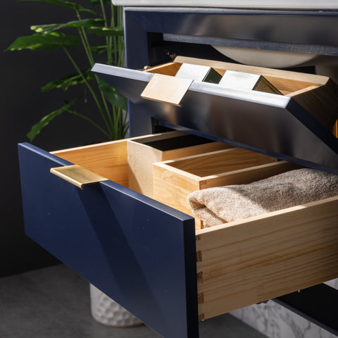 Danbury 24" Single Bathroom Vanity Set - Navy Blue