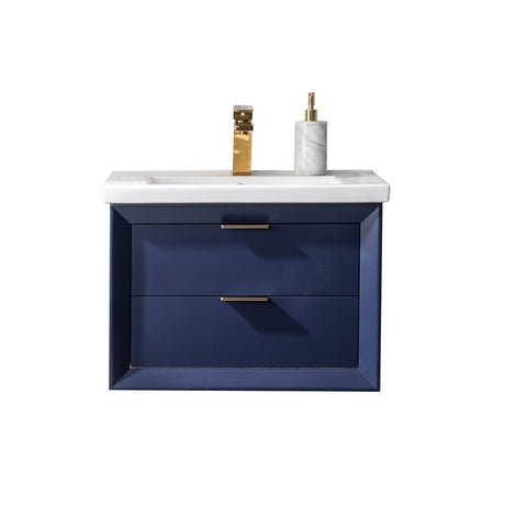 Danbury 24" Single Bathroom Vanity Set - Navy Blue