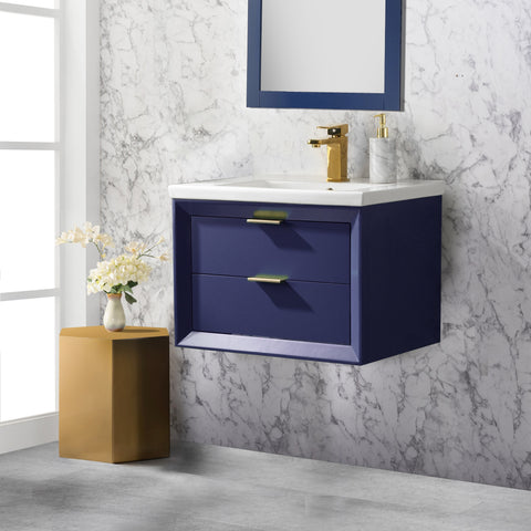 Danbury 24" Single Bathroom Vanity Set - Navy Blue