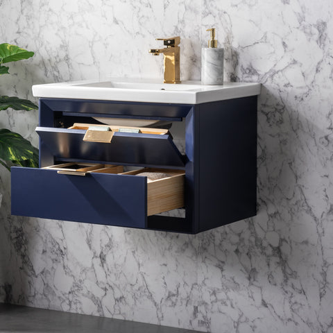 Danbury 24" Single Bathroom Vanity Set - Navy Blue