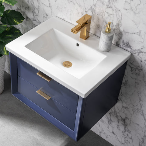 Danbury 24" Single Bathroom Vanity Set - Navy Blue
