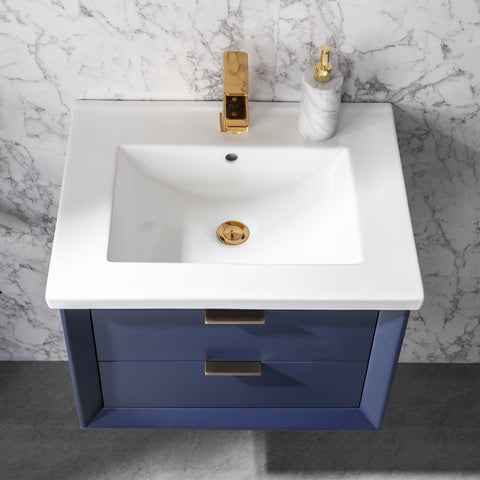 Danbury 24" Single Bathroom Vanity Set - Navy Blue