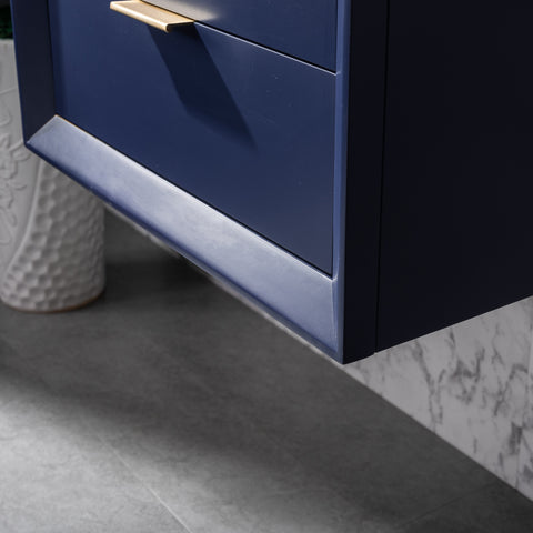 Danbury 24" Single Bathroom Vanity Set - Navy Blue