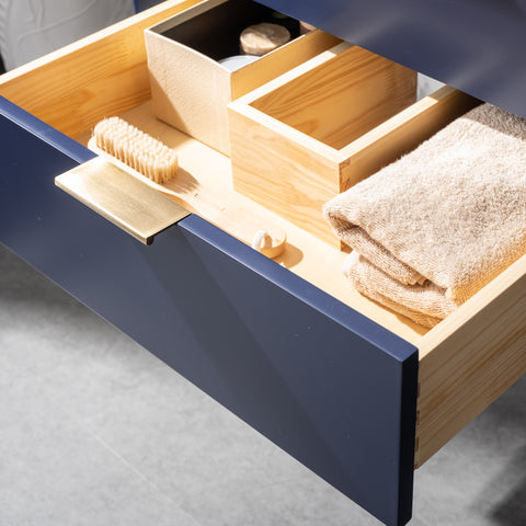 Danbury 24" Single Bathroom Vanity Set - Navy Blue