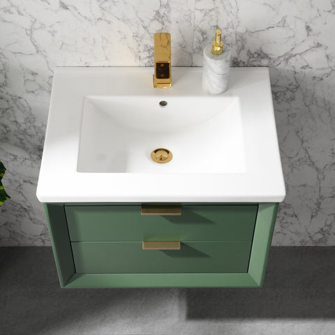 Danbury 24" Single Bathroom Vanity Set - Vogue Green